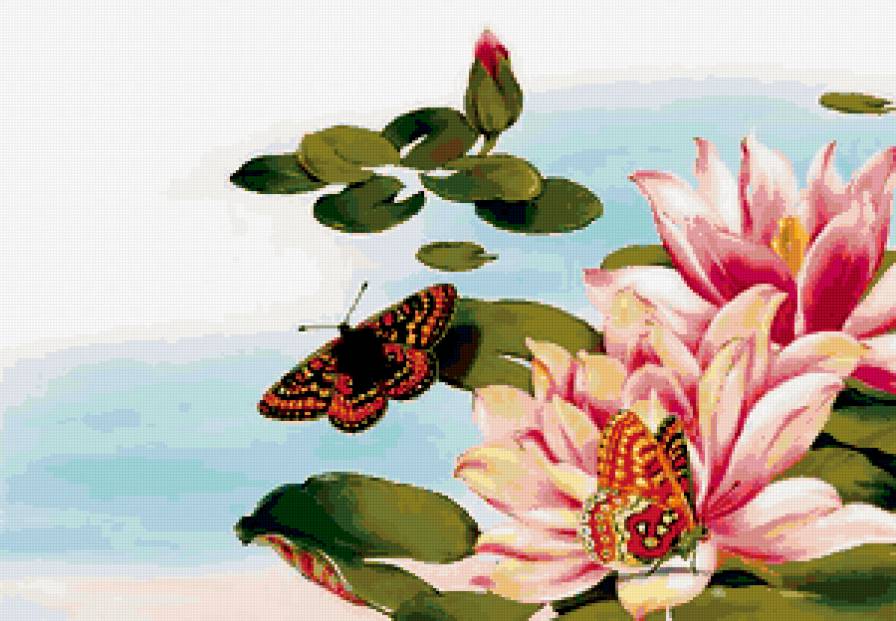 644 - цветы, бабочка - предпросмотр