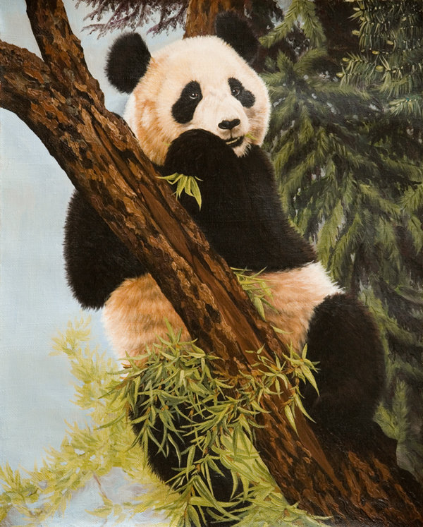 Панда - пейзаж, медведи, животные - оригинал