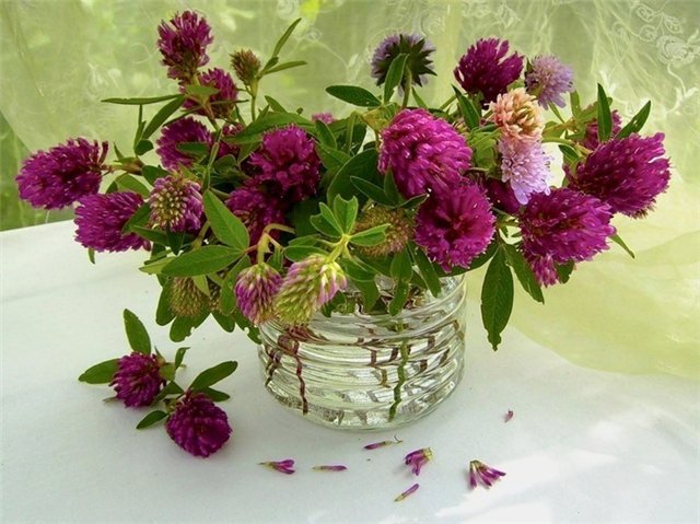 летний букет - натюрморт цветы ваза - оригинал