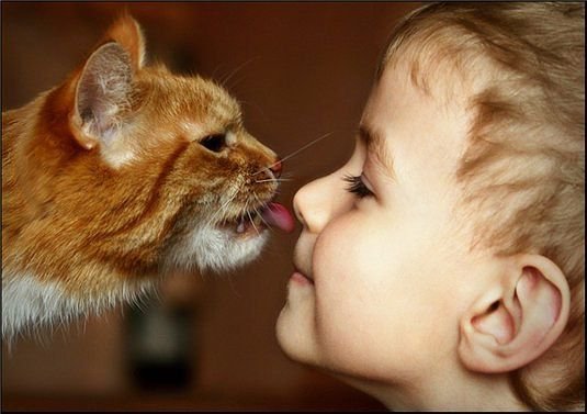 Дай ка я тебя поцелую:-) - кот, дети - оригинал