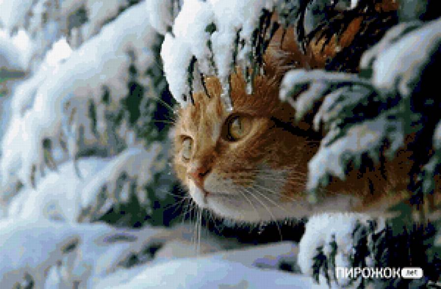 Кот в снегу - кот - предпросмотр