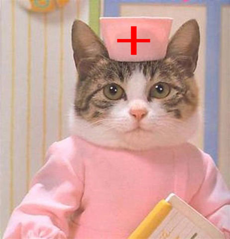Кошка медсестра - кот - оригинал