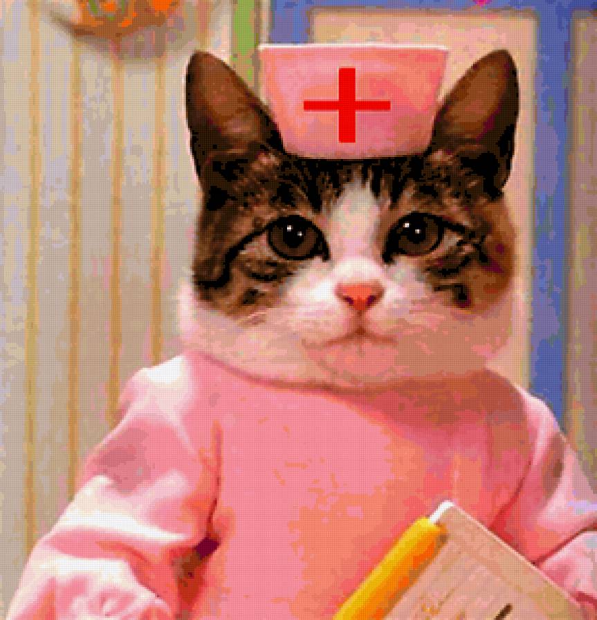Кошка медсестра - кот - предпросмотр