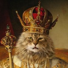 Царь-кот