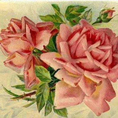 розы - роза, подушка, цветы - оригинал