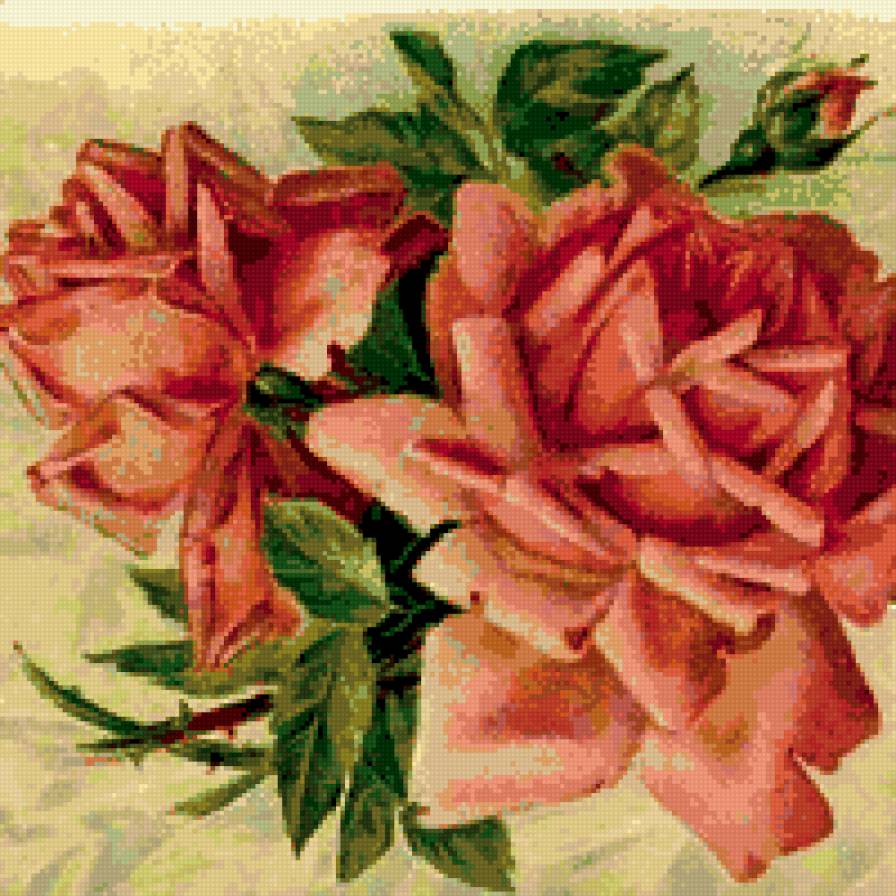 розы - цветы, роза, подушка - предпросмотр