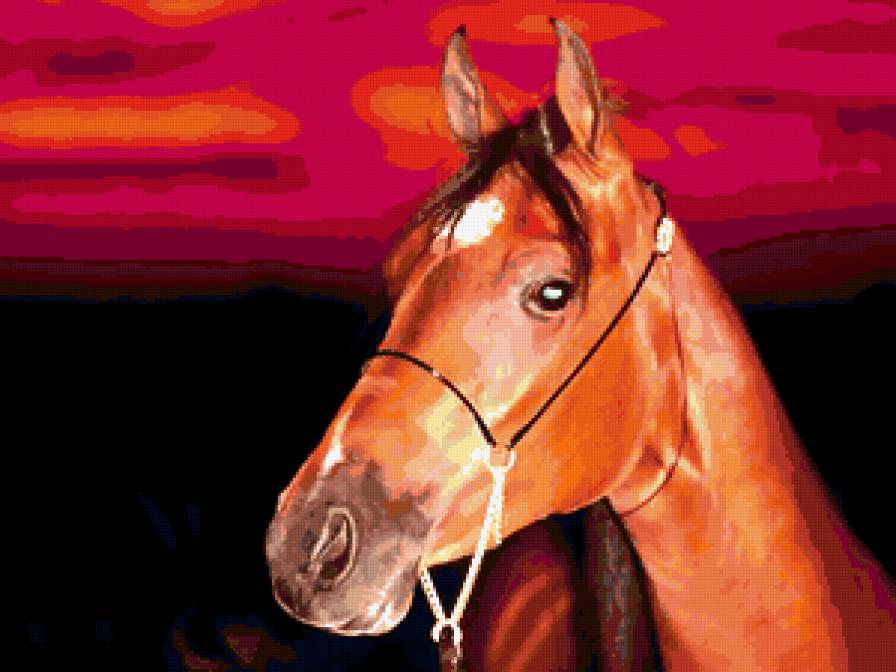 Лошадь на фоне заката - закаты - предпросмотр