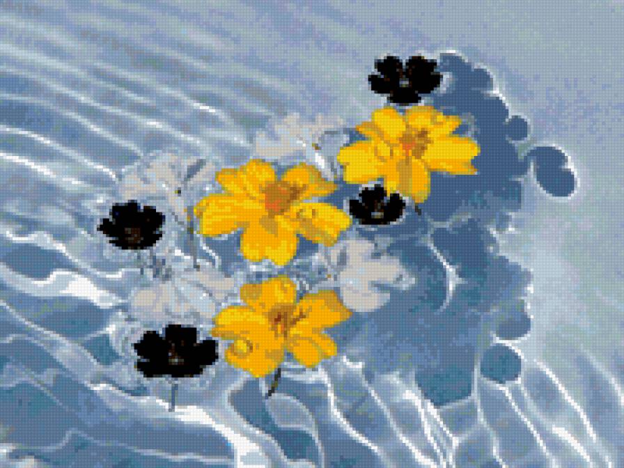 цветы на воде - вода, цветы, природа - предпросмотр