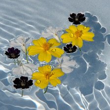 Оригинал схемы вышивки «цветы на воде» (№267181)