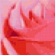 Предпросмотр схемы вышивки «роза в воде» (№267253)
