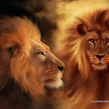 пара львов