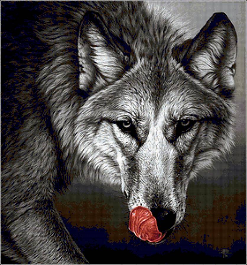 Серия "Волки" - волки, животные - предпросмотр