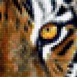 Предпросмотр схемы вышивки «тигр» (№267963)