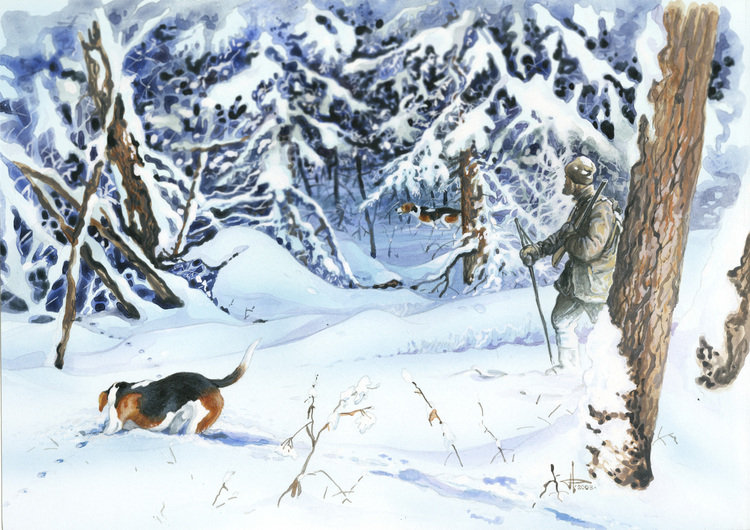 Лесные прогулки - зима, собаки, люди, пейзаж, мужчина, животные - оригинал