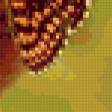 Предпросмотр схемы вышивки «Хвостик в бабочках» (№268417)