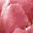 Предпросмотр схемы вышивки «розовые тюльпаны» (№268543)