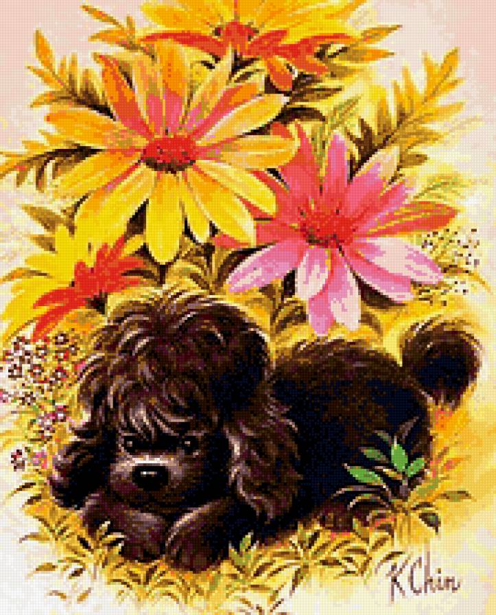 Кудрявая собачка - собачка, цветы - предпросмотр
