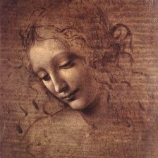 Схема вышивки «Leonardo_da_Vinci_Female_head_(La_Scapigliata)»