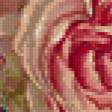 Предпросмотр схемы вышивки «розы в вазе» (№269649)