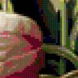 Предпросмотр схемы вышивки «тюльпаны» (№269845)