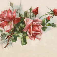Оригинал схемы вышивки «красная роза» (№270218)