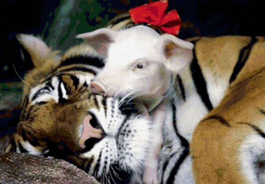 Поросенок и тигр - животные - предпросмотр