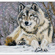Оригинал схемы вышивки «волк» (№271646)