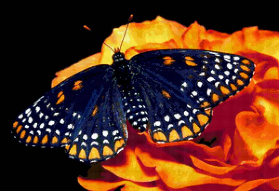 Бабочка и цветок - бабочка, цветок, природа, картина - предпросмотр