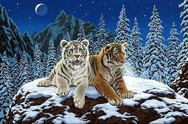 Братья по крови - зима, ночь, тигры, животные, луна, пейзаж - оригинал