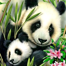 Семейка панды