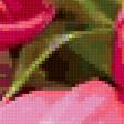 Предпросмотр схемы вышивки «тюльпаны» (№272731)