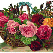 Оригинал схемы вышивки «розы в корзине» (№273011)