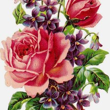 Оригинал схемы вышивки «букет роз» (№273013)