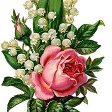 Оригинал схемы вышивки «ландыши и роза» (№273014)