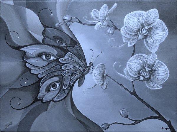 Бабочка и орхидея - бабочка, взгляд, глазами бабочки, цветы - оригинал