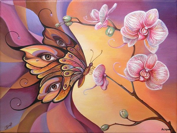 Бабочка и орхидея - глазами бабочки, цветы, орхидея, взгляд, бабочка - оригинал
