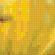 Предпросмотр схемы вышивки «хризантема» (№273067)