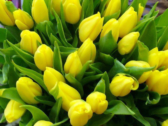 ЖЕЛТЫЕ ЦВЕТЫ - цветы, макро, желтые - оригинал