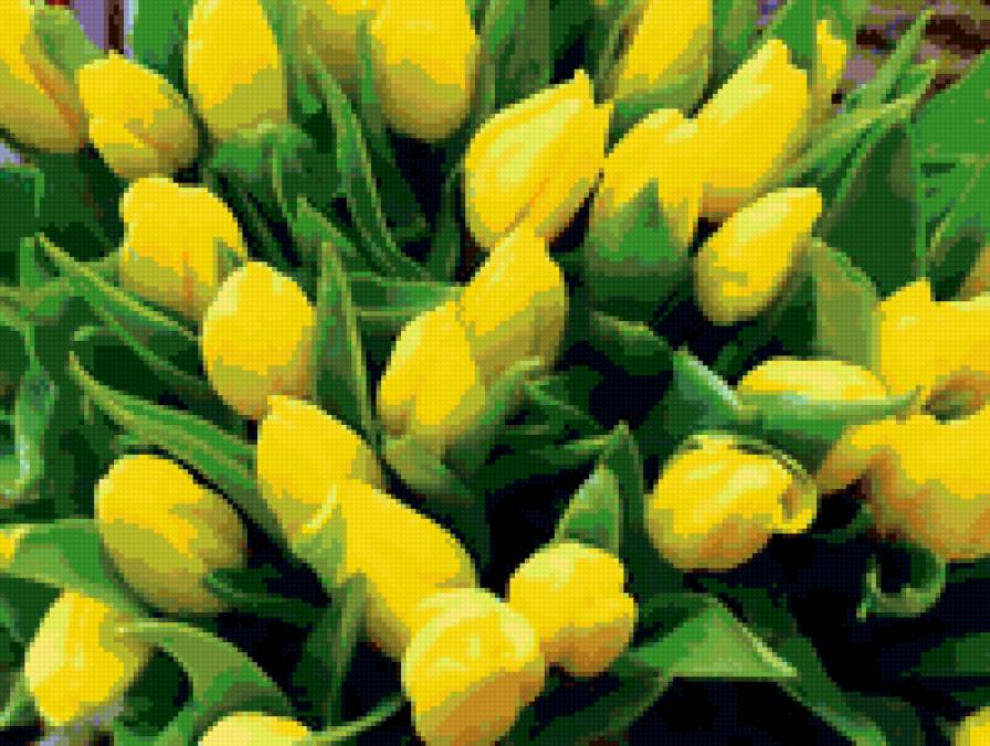 ЖЕЛТЫЕ ЦВЕТЫ - желтые, цветы, макро - предпросмотр