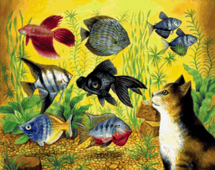 Аквариум - аквариум, рыбки, кот - предпросмотр
