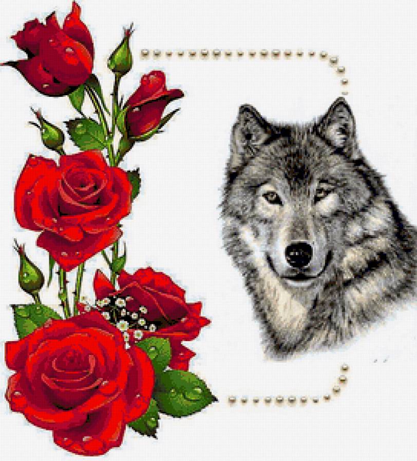 Волк у Розы - волк, картина, зверь, цветы, роза - предпросмотр