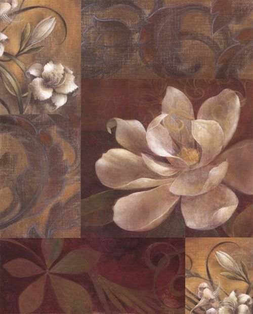 magnolia - cvety - оригинал