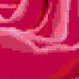 Предпросмотр схемы вышивки «бархатная роза 2» (№275073)