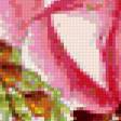 Предпросмотр схемы вышивки «веточка розы» (№275232)