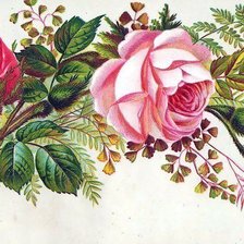 Оригинал схемы вышивки «веточка розы» (№275232)