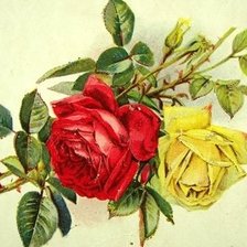 Оригинал схемы вышивки «розы» (№275340)