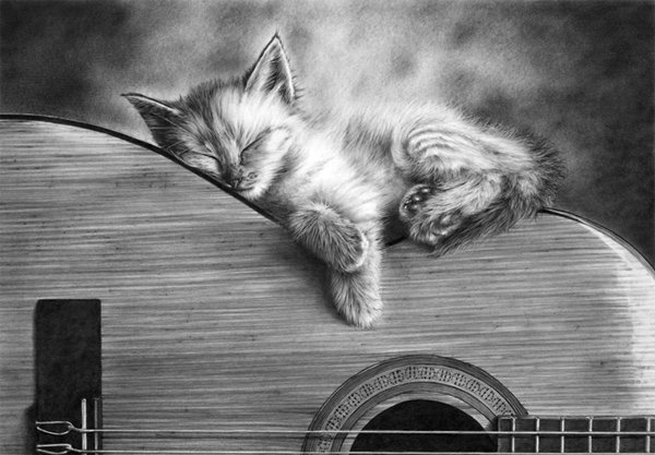 Музыкант - гитара, котенок - оригинал