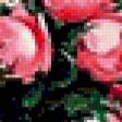 Предпросмотр схемы вышивки «розы» (№276692)