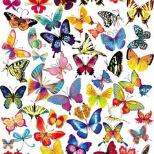 Оригинал схемы вышивки «Бабочки» (№276790)