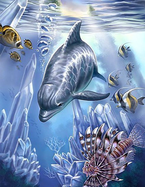 Подводный мир - море, картина, дельфин - оригинал